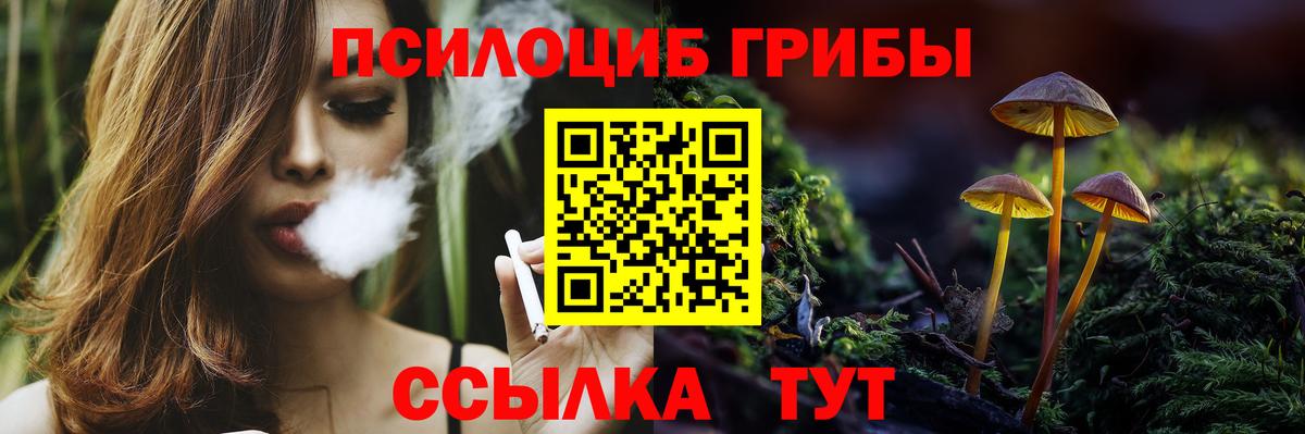 Галлюциногенные грибы GOLDEN TEACHER  Вход с VPN  наркотики  Таганрог 