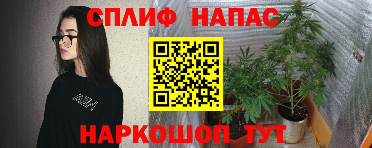 Канабис планчик Таганрог